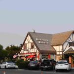 DSC_0044_01 (August 22, 2020)